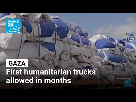 The first humanitarian trucks allowed into Gaza after 3 months without aid • FRANCE 24 English