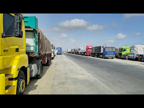 Israel says aid trucks entered Gaza, UN sees no sign of distribution • FRANCE 24 English