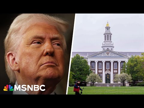 ‘Untenable crisis’: Trump admin ‘inflicting pain’ on Harvard, NYT journalist says