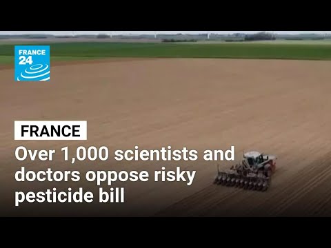 France: Over 1,000 scientists and doctors oppose risky pesticide bill • FRANCE 24 English