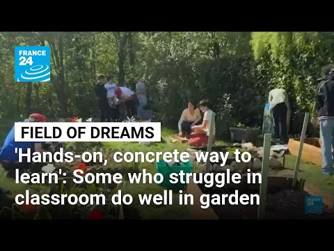 Vegetable Garden World Cup: ‘We all need to reconnect with nature and our health’ • FRANCE 24