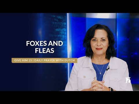 Foxes and Fleas | Give Him 15 Daily Prayer with Dutch | May 27, 2025