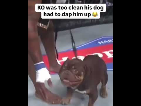 The dap was too clean 😂 (via @gamebredfc/IG)