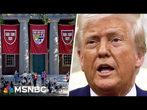 Stakes are ‘tremendous’ for democracy: Harvard professor says Trump acting as an ‘authoritarian’