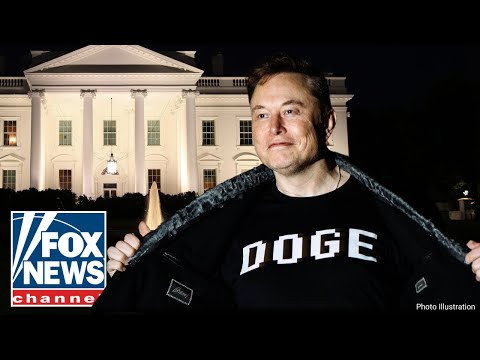 BREAKING: Elon Musk makes big announcement on DOGE