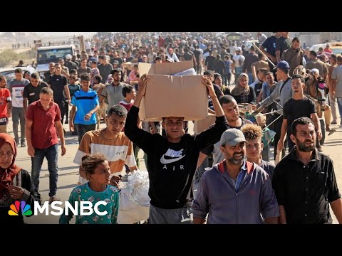 ‘Beyond anything I’ve ever seen before’: Doctor details devastation in Gaza
