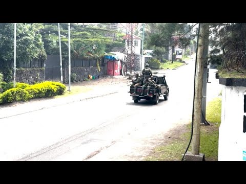 HRW: ‘The M23 armed group has deported over 1,500 people from eastern DRC to Rwanda’ • FRANCE 24