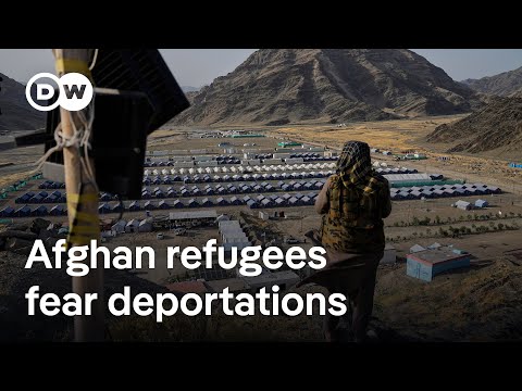 US travel ban, deportations from Pakistan: What place do Afghans have left to go | DW News