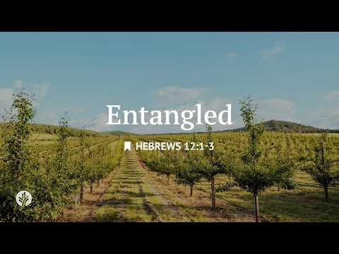 Entangled | Audio Reading | Our Daily Bread Devotional | June 23, 2025