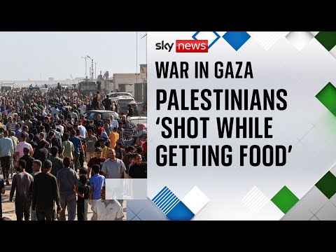 Dozens of Palestinians ‘shot dead while getting food’ in Gaza | Israel-Hamas war