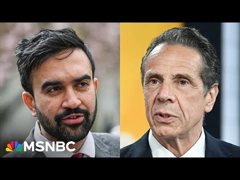 ‘It’s not about being a Democratic socialist!’ ‘Yes, it is!’: Hosts clash over apparent Mamdani win