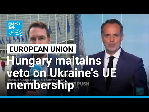 Hungary maintains veto on Ukraine’s EU membership bid after referendum • FRANCE 24 English