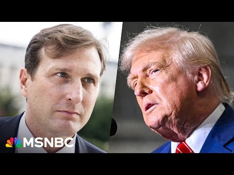 ‘Authoritarian playbook’: Judiciary Cmte. Dem on Trump’s attacks on democracy