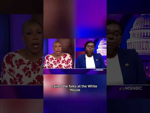 Symone implores Dem leadership to speak out against DOJ’s ‘bogus charges’