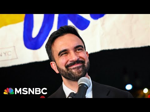 Democratic strategist: Mamdani’s NYC win represents ‘need for disruptive politics’