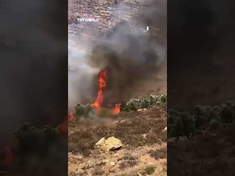 Israeli settlers torched crops near Ramallah