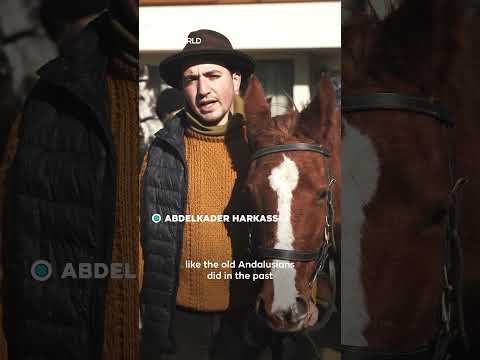 Spanish pilgrims on horseback reach Mecca after 240-day journey