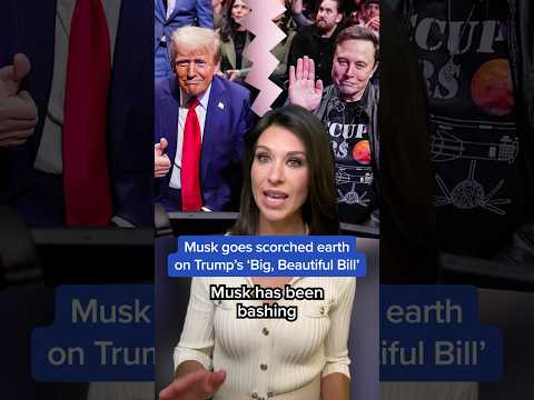 Musk goes scorched earth on Trump’s ‘Big, Beautiful Bill’