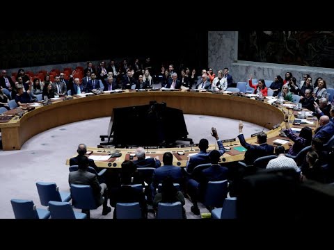US vetoes Gaza ceasefire resolution at UN Security Council, saying it emboldens Hamas • FRANCE 24
