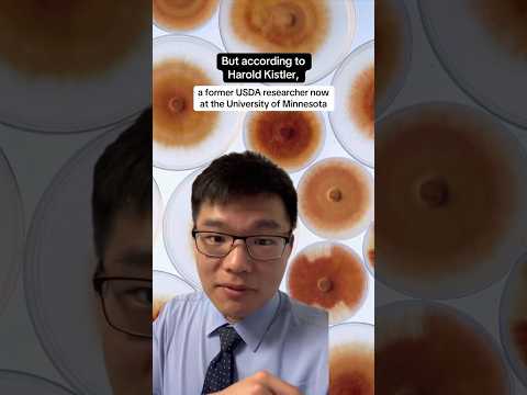 Chinese nationals accused of “potential agroterrorism weapon” into U.S. #shorts