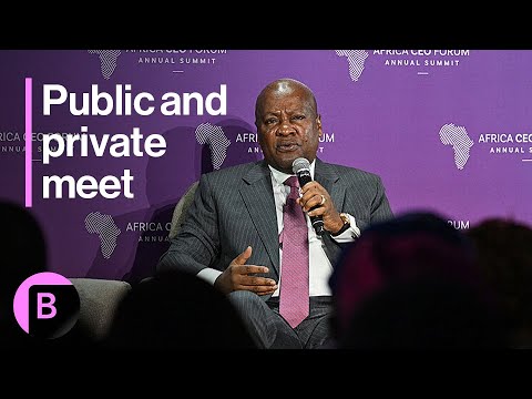 Public and Private Meet at the Africa CEO Forum