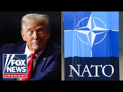 NATO allies ‘very likely’ to boost spending, says former ambassador