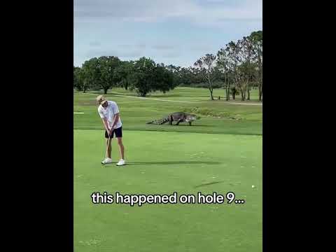 Woah 😳 (via victoriag518/IG)