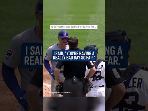 Nico Hoerner told the homeplate umpire: “You’re having a really bad day so far.” #shorts