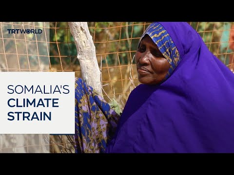 Climate crisis worsens Somalia’s drought and displacement