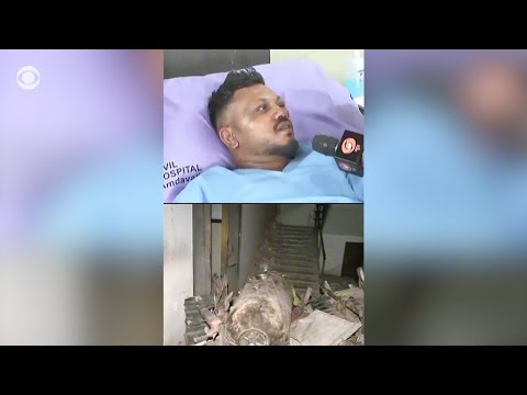 Air India crash survivor describes plane coming to a “standstill”