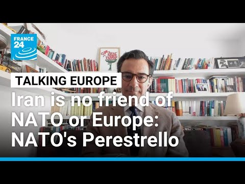 Iran is no friend of NATO or Europe: NATO Parliamentary Assembly chief Perestrello • FRANCE 24