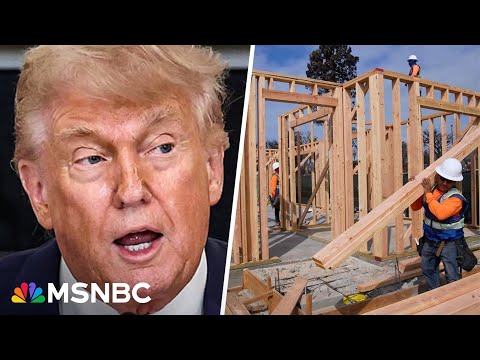 Trump’s immigration crackdown will cause ‘economic downturn’: Hispanic Construction Council head