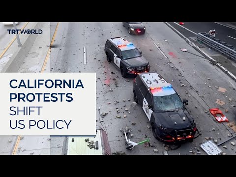 Industries alarmed over Trump’s crackdown on illegal immigration