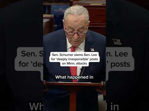 Sen. Schumer slams Sen. Lee for ‘deeply irresponsible’ posts on Minn. attacks