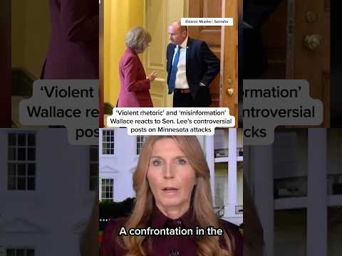 ‘Violent rhetoric’ and ‘misinformation’: Wallace reacts to controversial posts on Minnesota attacks