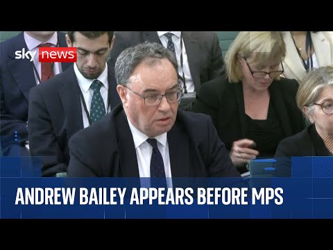 Bank of England governor Andrew Bailey appears before MPs