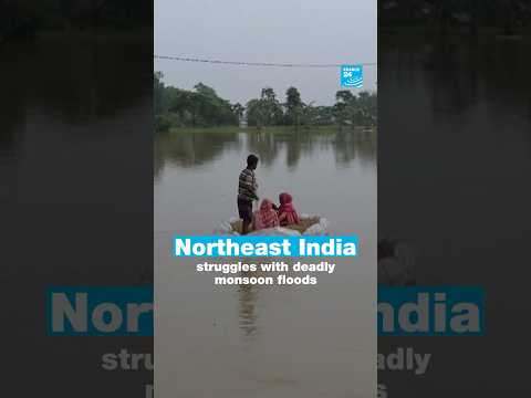 Northeast India struggles with deadly monsoon floods • FRANCE 24 English