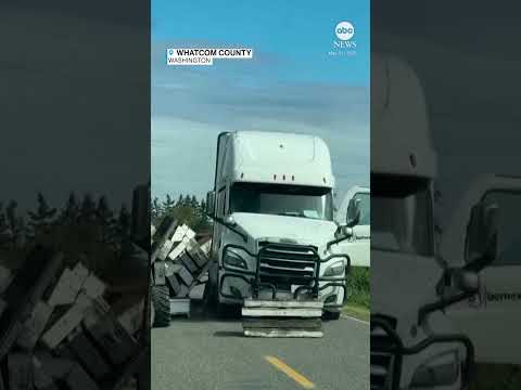 Millions of bees on the loose after truck carrying hives crashes