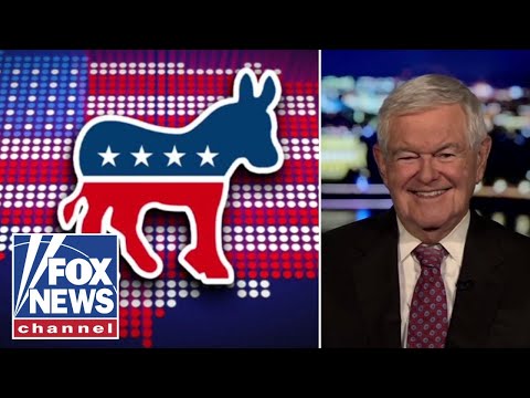 Newt Gingrich: The Democratic Party is experiencing the ‘most remarkable collapse’ ever