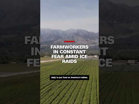 Farmworkers in constant fear amid ICE raids