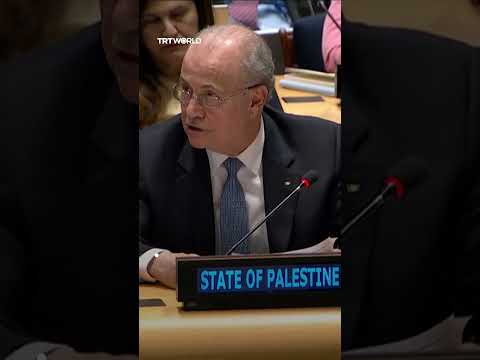 Türkiye, EU, Arab League endorse UN Gaza resolution