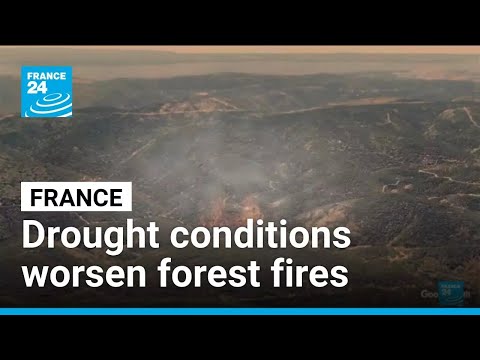 Drought conditions and heatwaves worsen forest fires in France • FRANCE 24 English