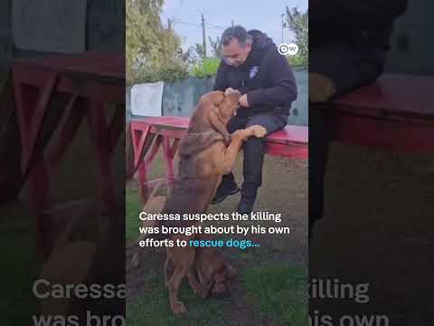 Italy outraged over killing of police dog Bruno | DW News