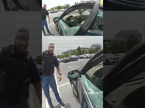 Police rescue children from hot car