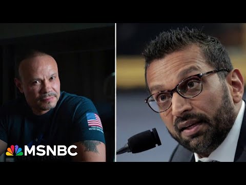 Nicolle Wallace: FBI in ‘total meltdown mode’ over Epstein files, giving agents polygraph tests