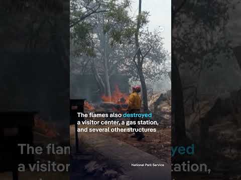 Grand Canyon wildfire blazes burn down historic lodge | DW News