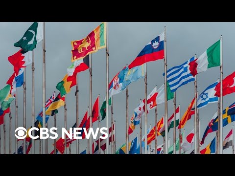 How relevant is the United Nations in the modern world?