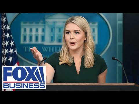 Karoline Leavitt takes questions on Epstein case
