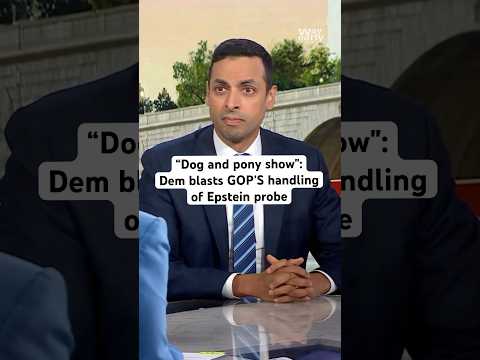‘Dog and pony show’: Dem blasts GOP’S handling of Epstein probe