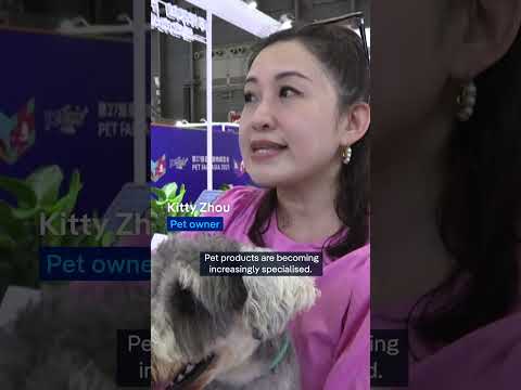 Asia pet fair: Gimmicks and AI companions for pet lovers of all kinds | DW News